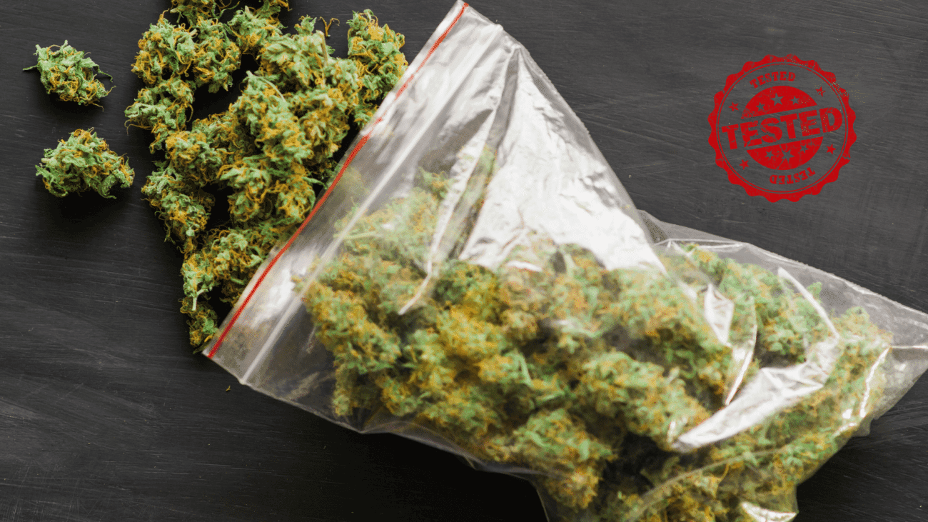 Lab-tested weed in a plastic bag with loose cannabis buds on a dark surface, marked with a red “Tested” stamp