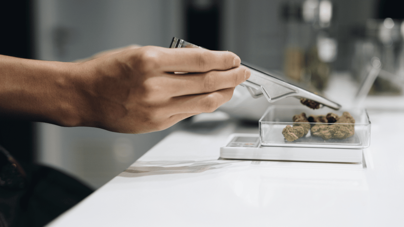 Cannabis buds being weighed on a digital scale for accurate dosing and packaging in a controlled environment