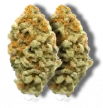 Strawberry Gary - Hybrid - Image 2