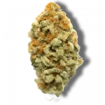Strawberry Gary - Hybrid
