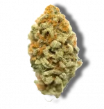 Strawberry Gary - Hybrid