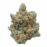 The Original Z - Indica