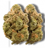 Black Cherry Gelato - Sativa - Image 2