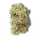 Blue Zushi - Hybrid - Image 2