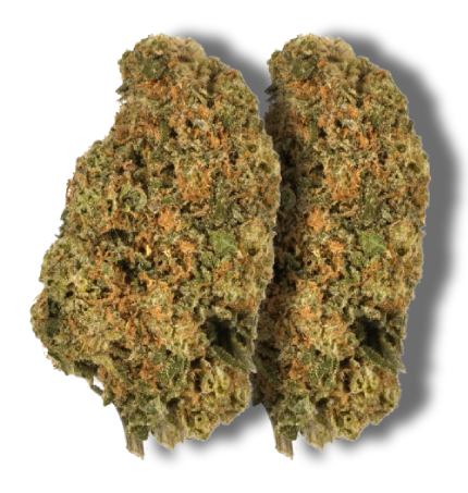 Caramel Cake – Sativa