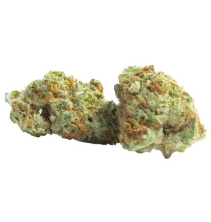 Caramel Cake Sativa