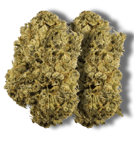 Durban Poison