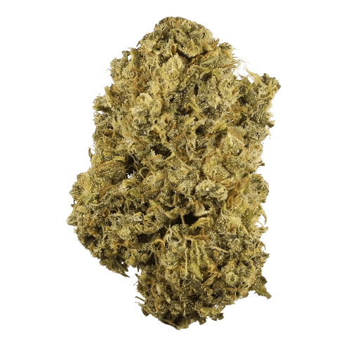 Durban Poison - Sativa