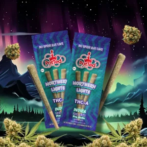 northern-lights-banner