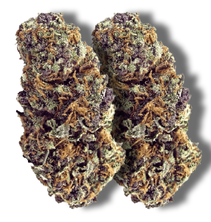 Forbidden Fruit