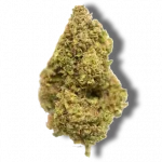 Gelonade - Hybrid