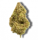 Gelonade - Hybrid