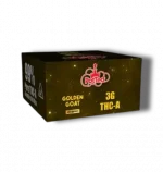 Golden Goat - Hybrid