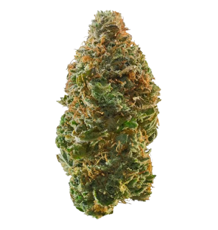 Gusherz Hybrid