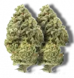 London Pound Cake - Hybrid - Image 2
