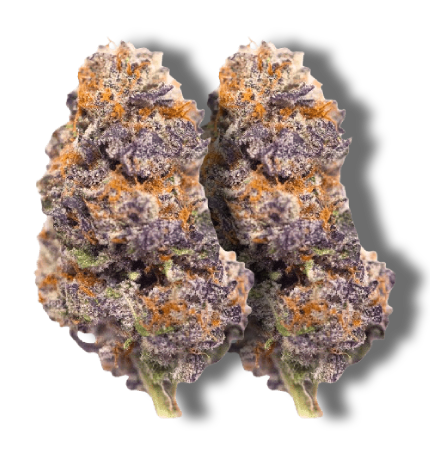 Mystery Haze