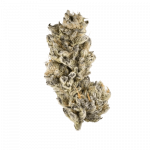 Purple Punch - Indica