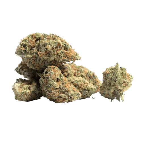 Strawberry Amnesia - Sativa