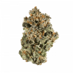 Platinum Kush - Indica