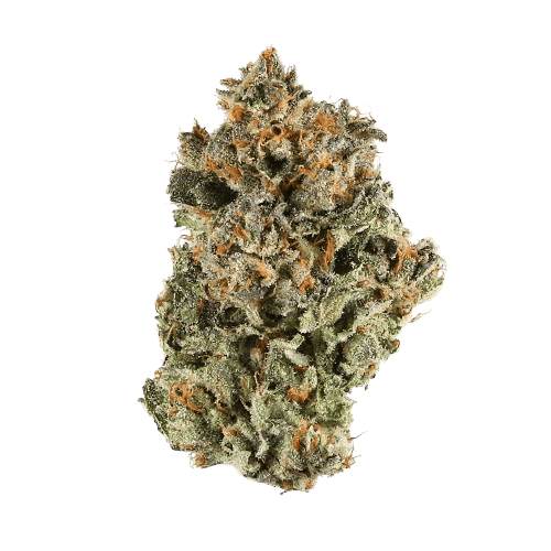 Platinum Kush - Indica